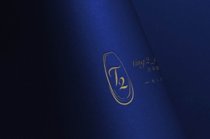 T2-Mockup-4.jpg